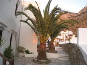 Kiki Hotel - Image 3