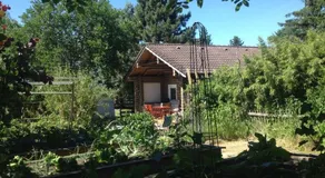 Gemütliche Blockhütte in Wiennähe - Image 3