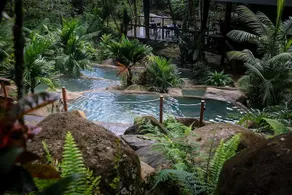Chachagua Rainforest Hotel & Hacienda - Image 5