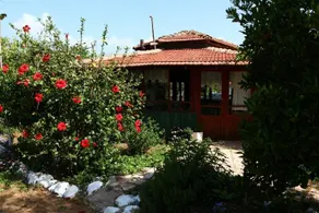 Mehmet Pension - Image 4