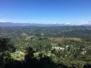 White House Nuwara Eliya - Image 2