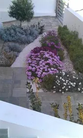 The Nest - Image 2