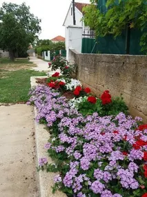 Holiday Home Dea - Image 2