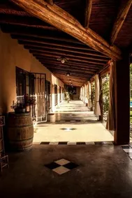 Finca Terrada - Image 2