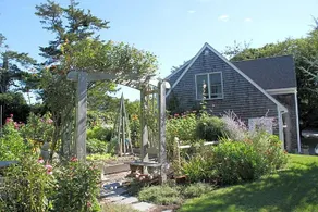 Lavender Bay - Image 2