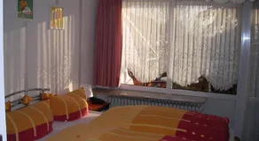 Haus Steinberg - Image 2