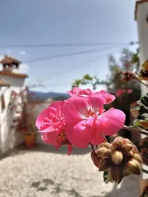 B&B Los Montes - Image 4