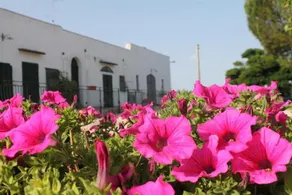 B&B Masseria Cappotto - Image 5