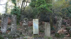 Casa da Mota - Image 4