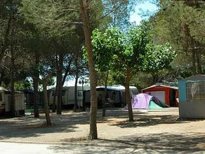 Camping Los Pinos - Image 5
