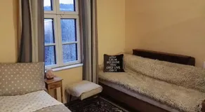 BeeFree - Image 3