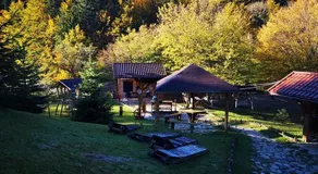 Pensiunea Nedeia - Image 5