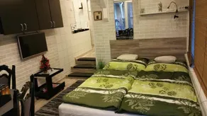Apartment Patrícia with garden - Image 3