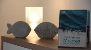 Ferienwohnung Kuhl, die mit dem Strandkorb - Image 4