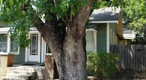 Simple Hollywood Stays #801 - Image 3