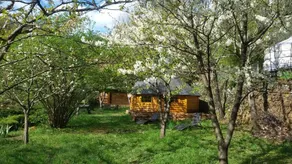 Natur'ânes - Image 2