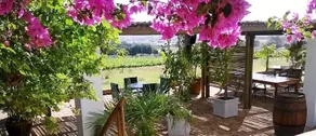 Capelands Wine Farm & Guesthouse - Image 4