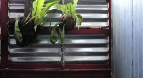 Nook Guest House - Image 4