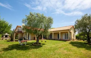 Apartman AS - Image 4