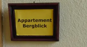 Große FeWo Scheffau - Image 4