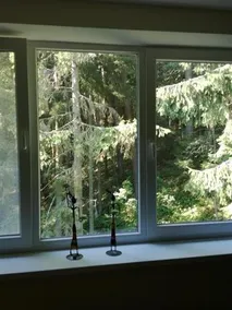 Family-Friendly 2 Rooms Apartment With View To A Forest - Image 4