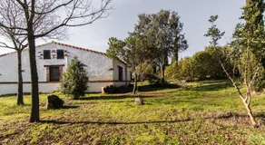 El Pueblo de Leo - Image 4