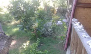 Omah Bamboo - Image 5