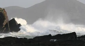 Rose cottage Ballinskelligs - Image 4