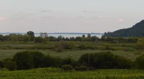 Mali Pince - Image 2