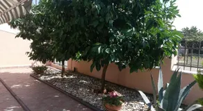 Apartments MERLIN Novigrad - Image 3