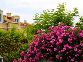 Qingdao Sunshine Beach Homestay (Laoshan Scenic Spot) - Image 2