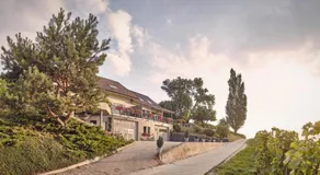 Domaine Beauregard - Image 5