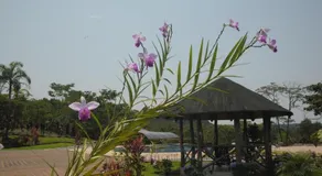 Hosteria Orkidea Lodge - Image 2