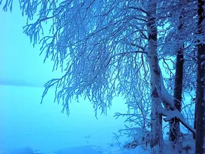 Nikkilän Elämyskylä - Image 3