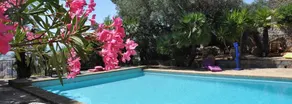 Castel Pierre Lisse - Image 2