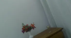Apartamento Parque das Palmeiras - Image 4