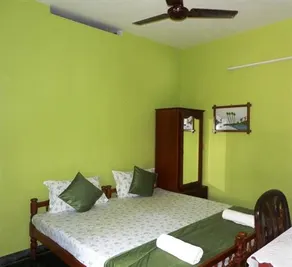 Green House - Image 4