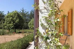 B&B Su Pitiolu - Image 4