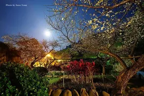 Maylin B&B - Image 2