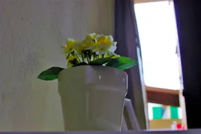 Buonarroti Relais - Image 3