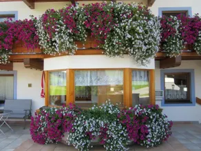 Landhaus Geisler - Image 3