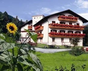 Hotel Bruckenwirt - Al Ponte - Image 2