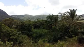 Hotel Fazenda Boa Sorte - Image 4