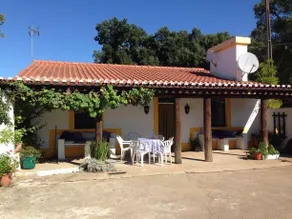 La Carapeteria - Image 2