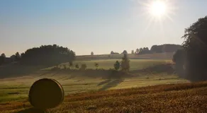 Folwark Dajak - Image 4
