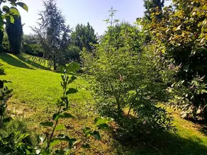 Villa Terrefort - Image 4