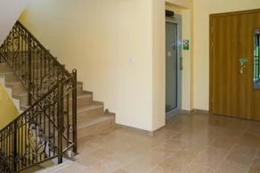 Adamar - Image 2