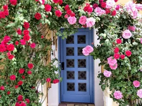Villa Ciel Bleu - Image 2