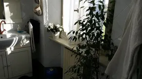 White Lady B&B - Image 2