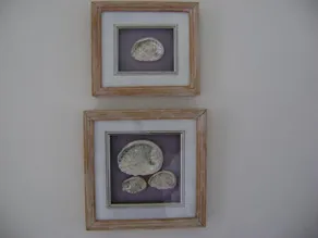 Vlei Studio - Image 3